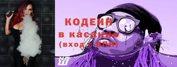 ГАЛЛЮЦИНОГЕННЫЕ ГРИБЫ Богданович