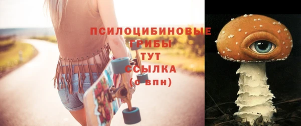 ГАЛЛЮЦИНОГЕННЫЕ ГРИБЫ Богданович
