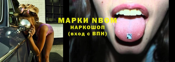 ГАЛЛЮЦИНОГЕННЫЕ ГРИБЫ Богданович
