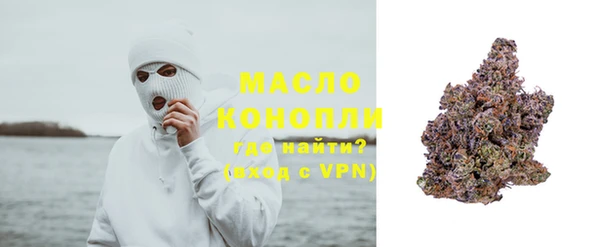 ГАЛЛЮЦИНОГЕННЫЕ ГРИБЫ Богданович