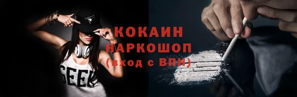 ГАЛЛЮЦИНОГЕННЫЕ ГРИБЫ Богданович