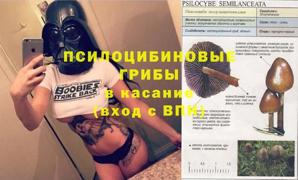 ГАЛЛЮЦИНОГЕННЫЕ ГРИБЫ Богданович