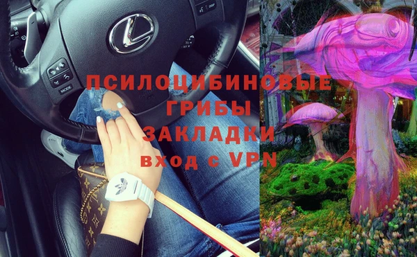 бошки Богородск