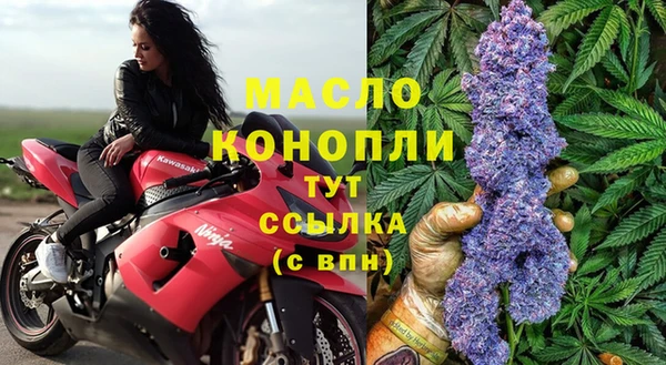 ГАЛЛЮЦИНОГЕННЫЕ ГРИБЫ Богданович