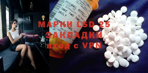 ГАЛЛЮЦИНОГЕННЫЕ ГРИБЫ Богданович
