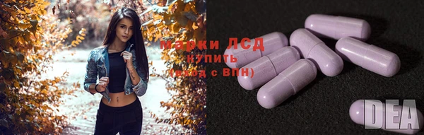 ГАЛЛЮЦИНОГЕННЫЕ ГРИБЫ Богданович