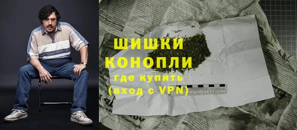 ПСИЛОЦИБИНОВЫЕ ГРИБЫ Богородицк